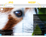 Định dạng webp là gì và tại sao nên dùng webp